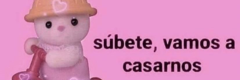 LuliPuerta's profile banner image