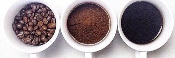 MeeShell2727 Profile Banner