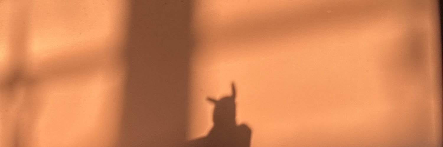 aypatro's profile banner image