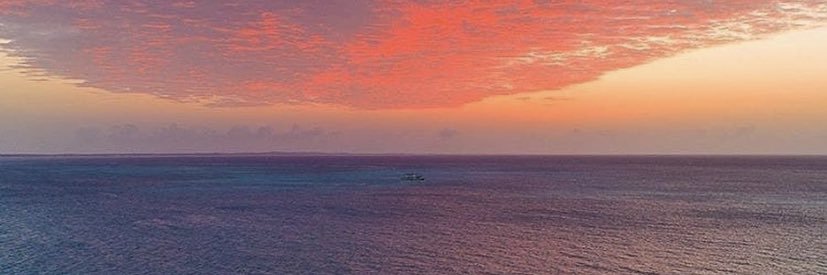 thatsaley's profile banner image
