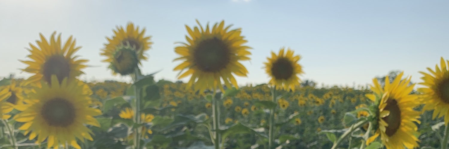 burttyy's profile banner image
