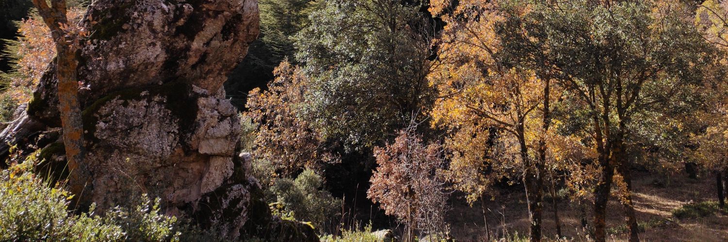 eduarsarcos's profile banner image