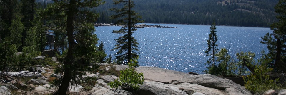 Cynthia Griffin banner