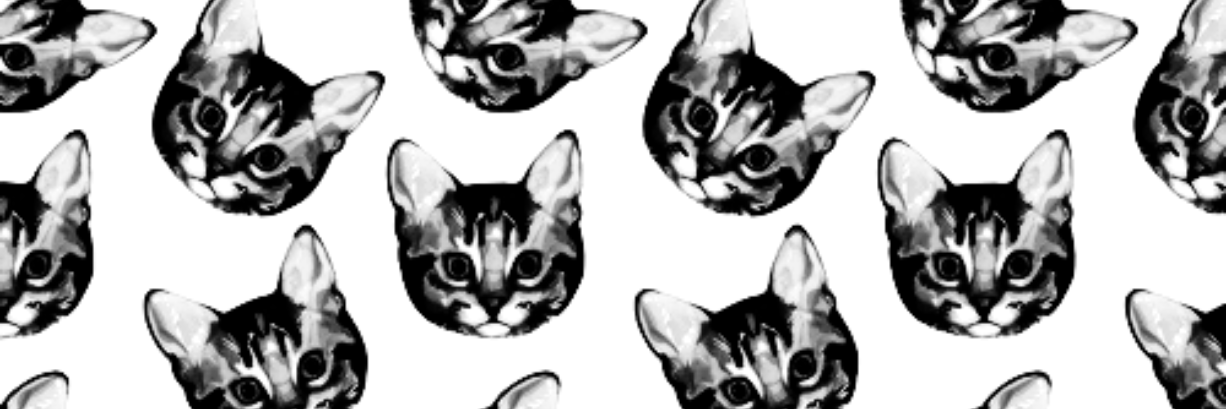 Katie S banner