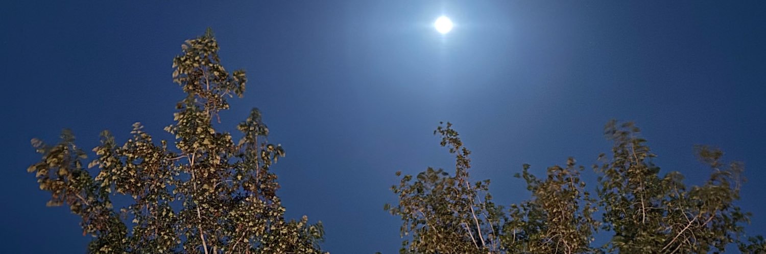 iiuhx's profile banner image