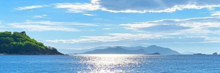 tayani_y's profile banner image
