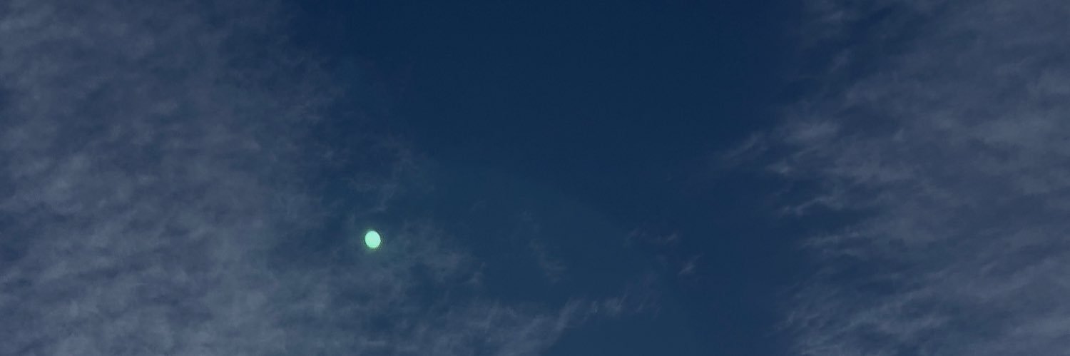 Flyest Nihlist🐱⛩️ banner