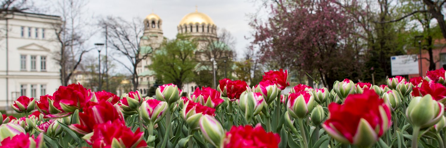 NLinBulgaria's profile banner image