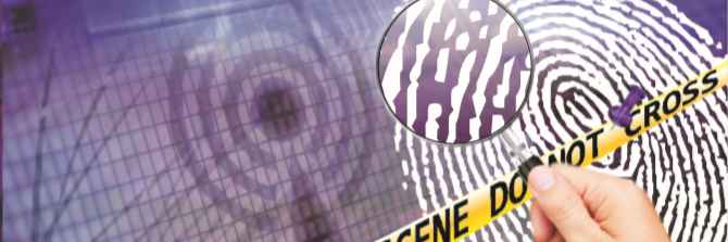 PurpleRadiance's profile banner image