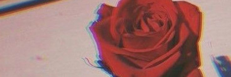 nora_fangirl's profile banner image