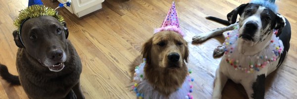 TerryRooker Profile Banner