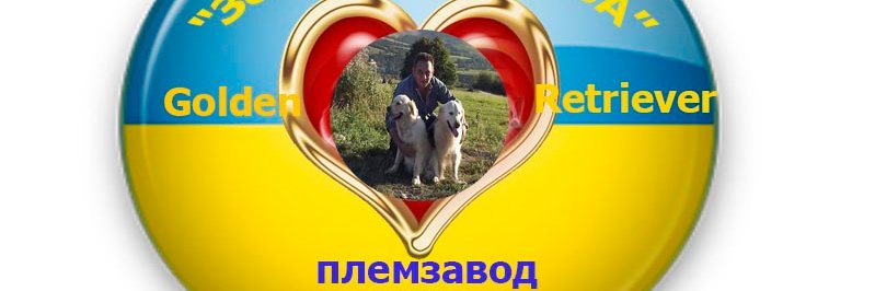 Олієвський Вячеслав banner