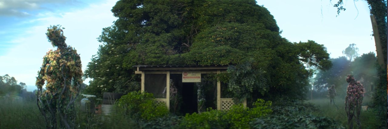 embusteconico's profile banner image