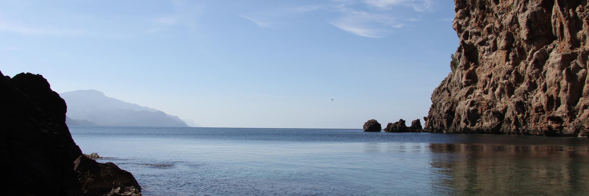 drpascalmensah's profile banner image