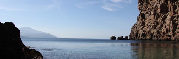 drpascalmensah Profile Banner
