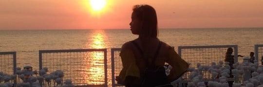 ___Gale____'s profile banner image