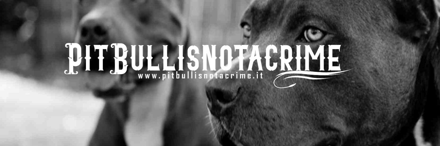 PitBullcause's profile banner image