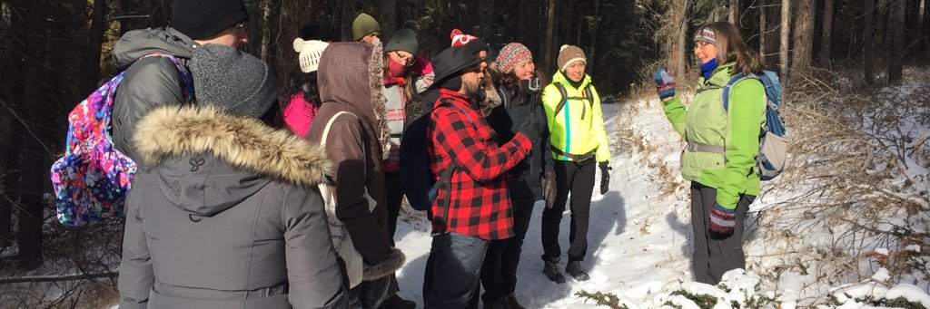 Qi Adventure Club banner