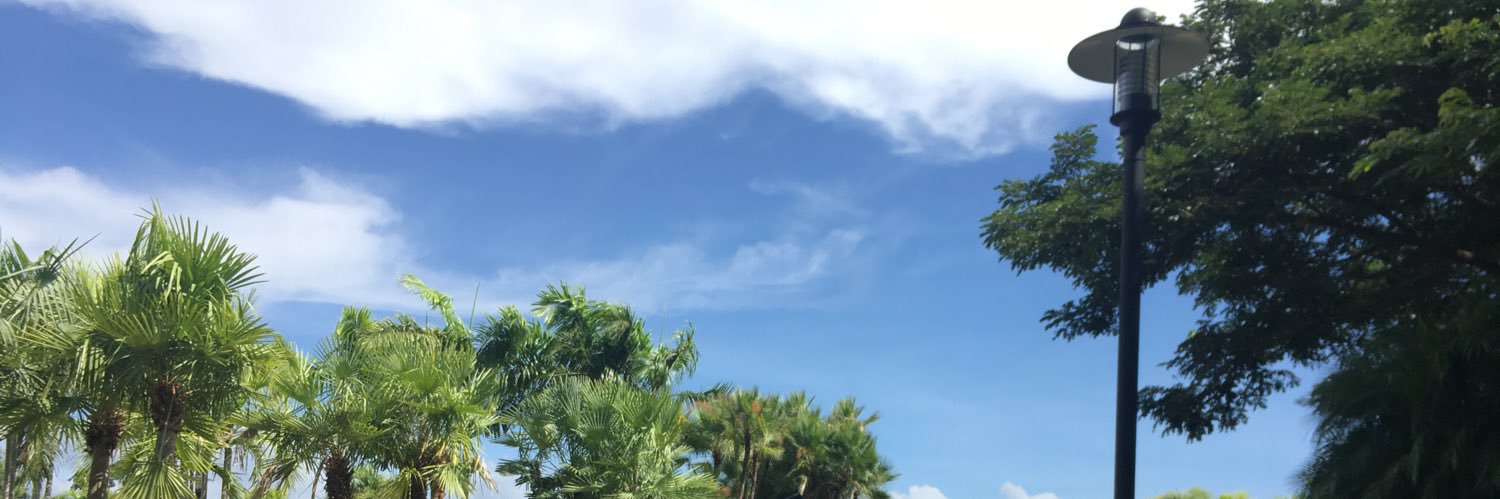 diddid_hi5's profile banner image