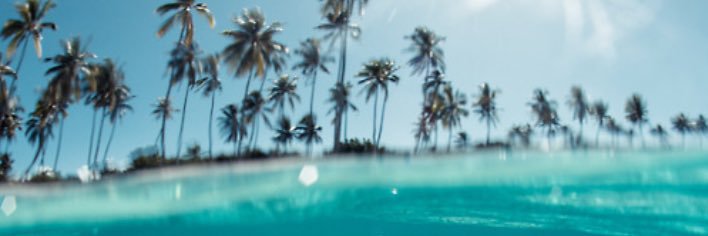 agou99's profile banner image