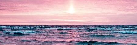 ViBES_Viral4's profile banner image