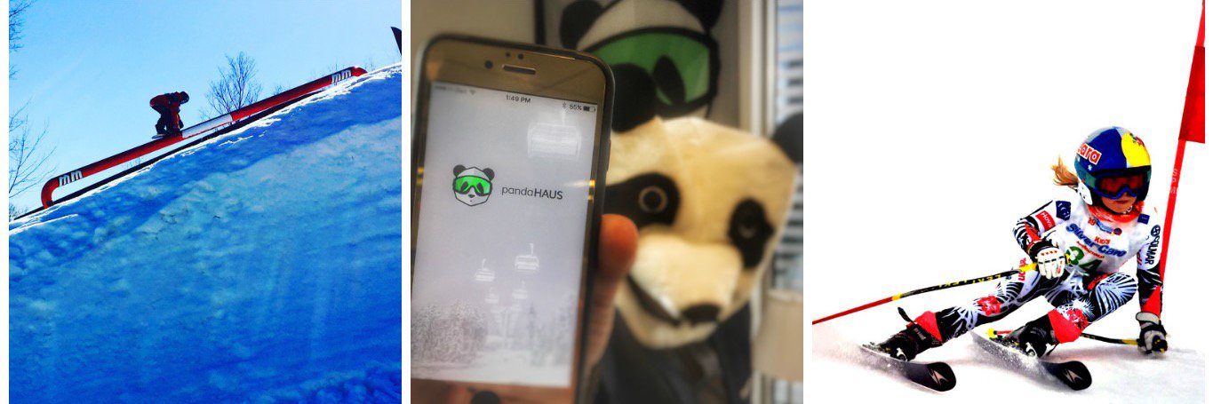 pandaHAUSsnow's profile banner image