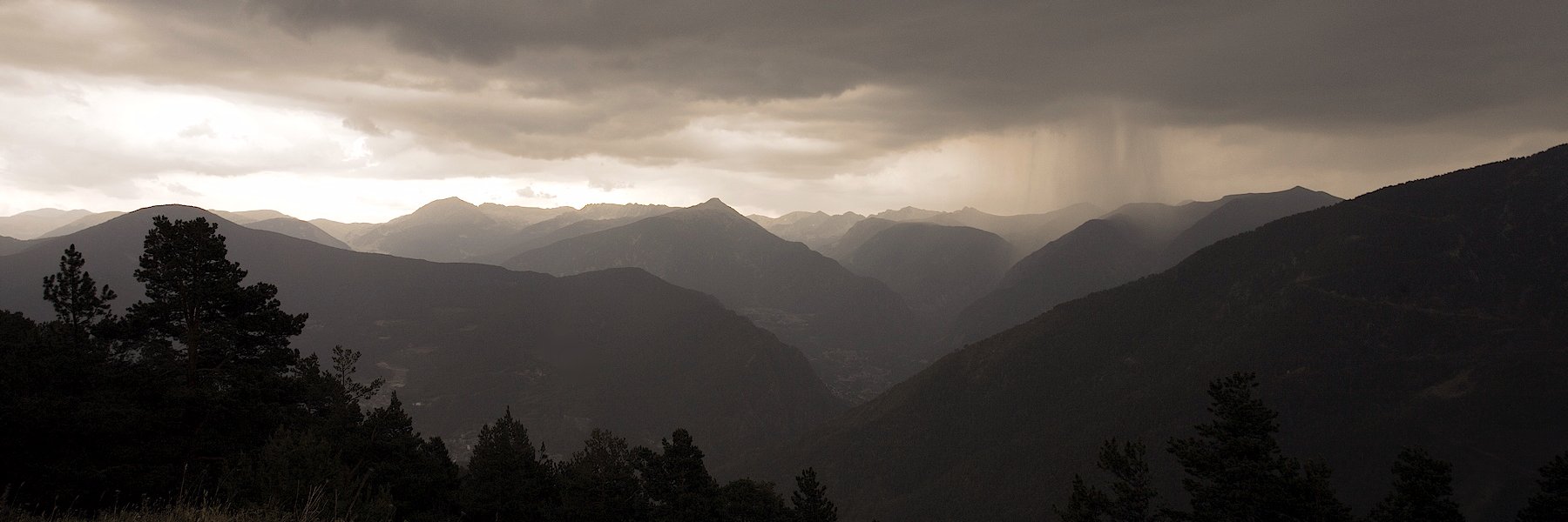 Aleix Dorca banner