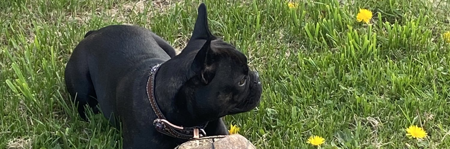 KeebFPS's profile banner image