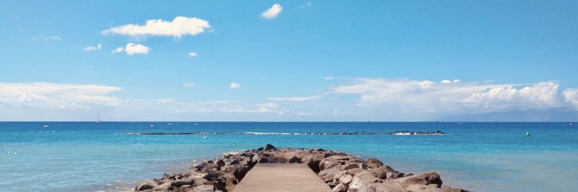 Marika Sinikari banner