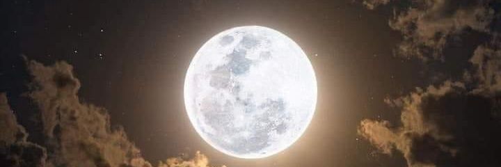 jimenezflork's profile banner image
