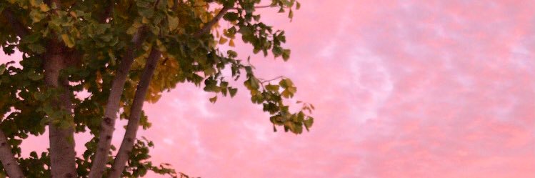 Daniemaff's profile banner image