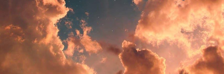 parcelssa's profile banner image