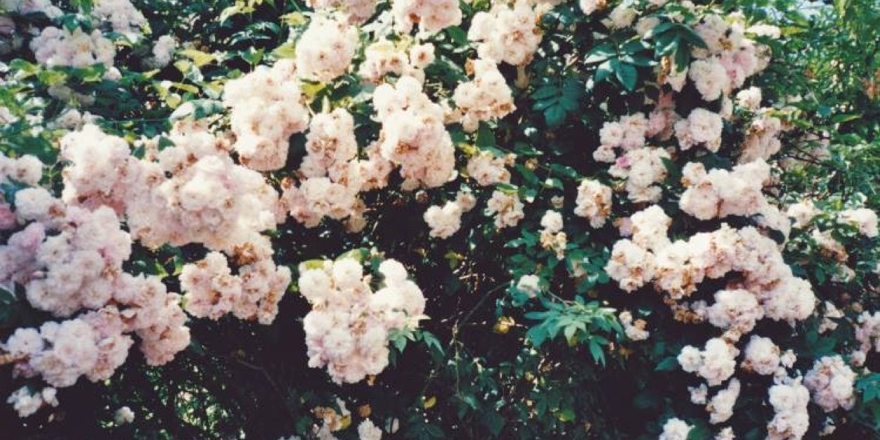 _juliagr's profile banner image