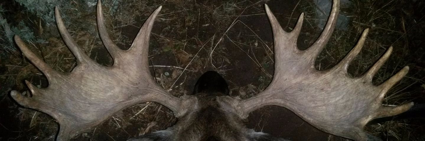 BowAddictID's profile banner image