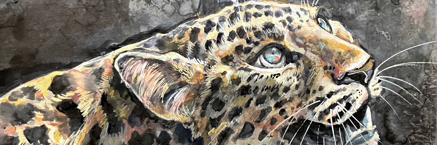 _mollylyons's profile banner image