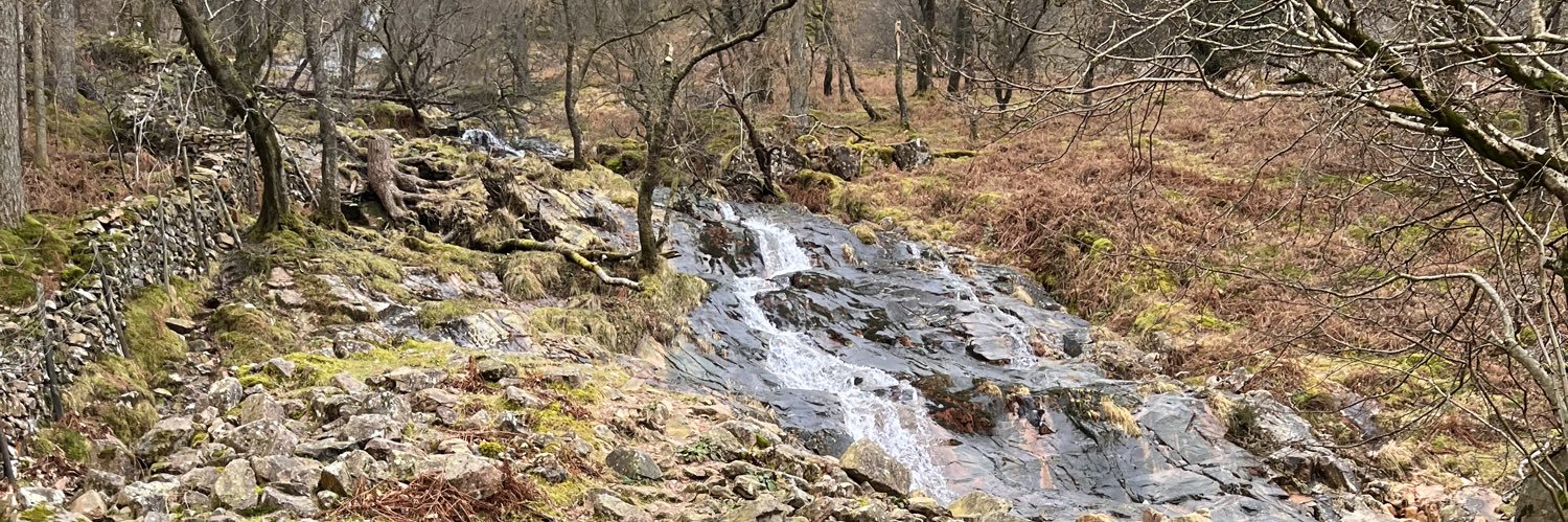 Dexter banner