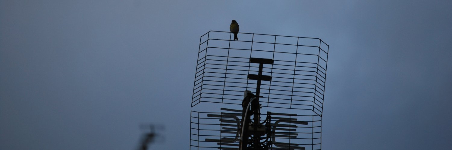Dani Farràs Berdejo banner