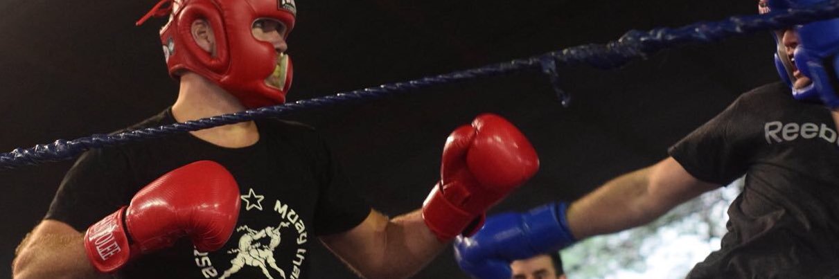 Lula Benitez banner