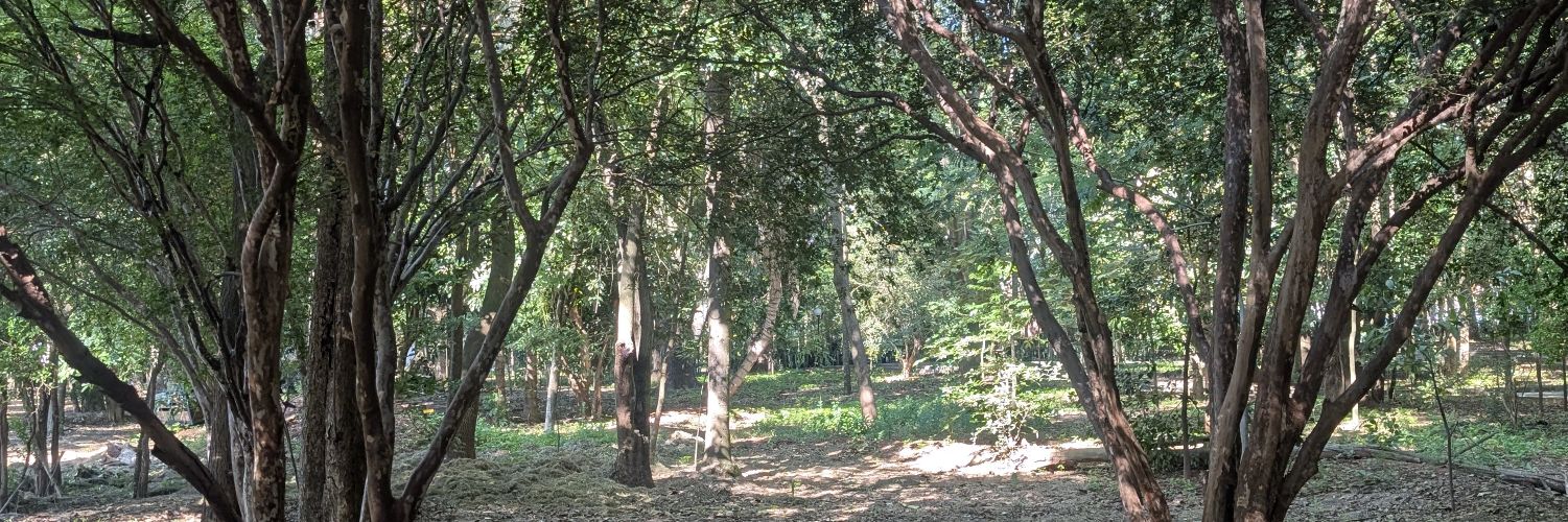 Prem Lee Barbosa banner