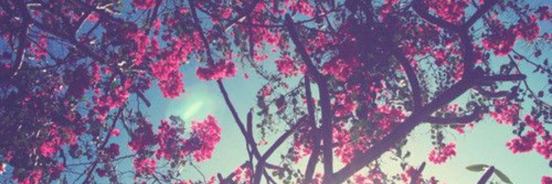 Katelyn Mari banner