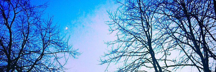 Els_Main's profile banner image