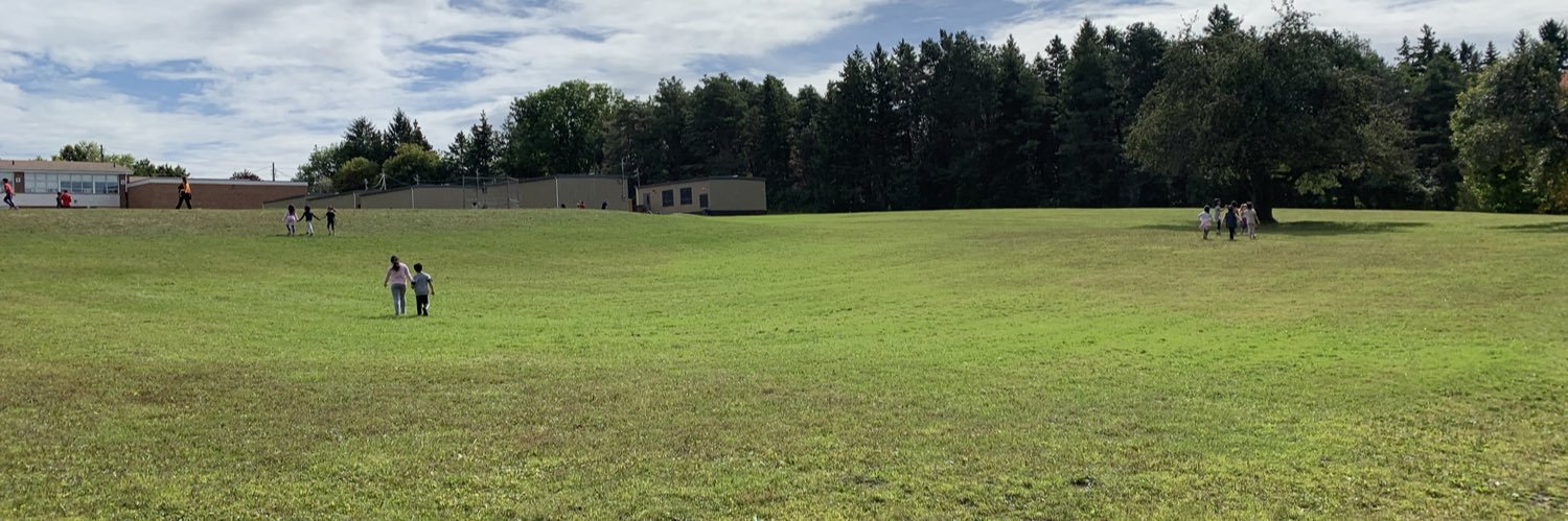 Valley View P.S. banner