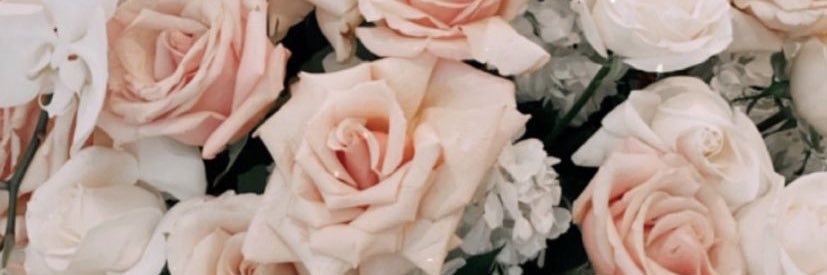 Coco Michelle banner