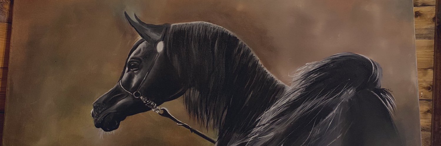Norrah_12's profile banner image