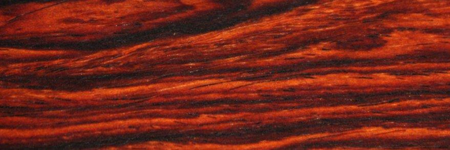 shoreytime's profile banner image