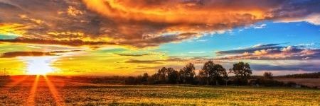 Wade7211's profile banner image