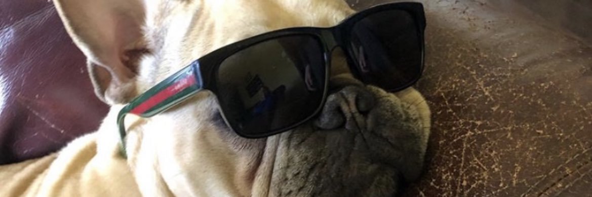 meechiemans's profile banner image