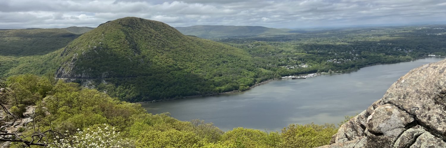 Elinor Zehava banner