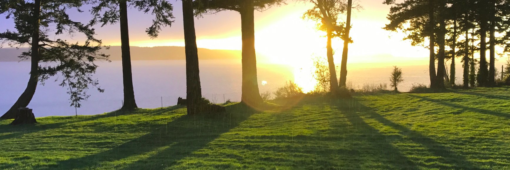 SELforALL's profile banner image