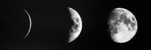 CReedPR's profile banner image